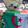 chaima63860