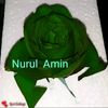 nurulamin8630