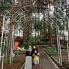 rinafarikha686