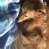 la.ju_25091
