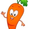 tshirtcarrot