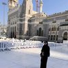 reem_elfalaa