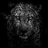 sterling_965