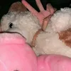 bongjeuuxinhh
