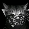 itz.cool12