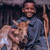 abebe4772