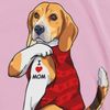 brandithebeagle