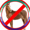 i_hate_horses