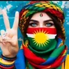 zilan73_7