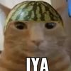 iyaiyaiyaiyaiayaaaaa