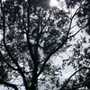 ty13022000