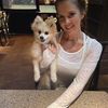 lorifluitt