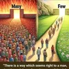 judgment444