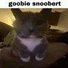 robbinjohansson00