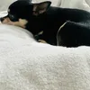 lillypaco07