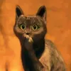 _pussynt2