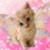 lilhumanbigsoul_444