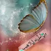 user6330150084398
