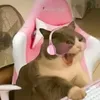 hidingfr0mwill