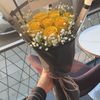 hajeralasmary
