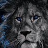 adil_king99