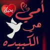 ahmadhadna4747