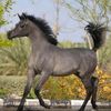 alusud5678