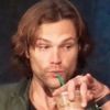 moose_squirrelspn66