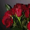 safaa._36