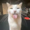 xanglang69