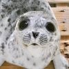 fattyseal