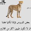 user7797946328196