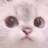 kavindu_70