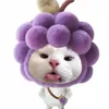 thaoien2_5