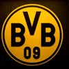 phillip24.11.bvb09
