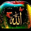 rohanidaud533