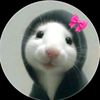 user802840360