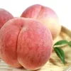 halfassprince