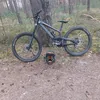 luca_31120