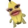 fdlhha_