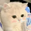 nhi_nn926hihi