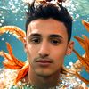 usermajed25