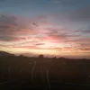 cu_te087