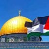 mouhmedmohamed6