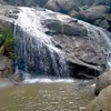 quyen.vang.xuan.q