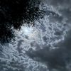z_js3