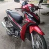 bactran537
