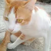 bocah_tua_nakal_01