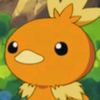 torchic9