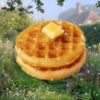 WaffleMan24